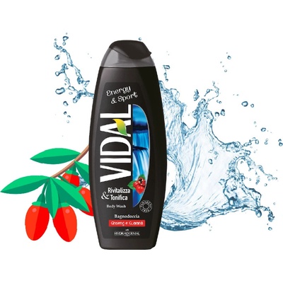 Vidal Energy & Sport sprchový gél 500 ml