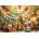 Castorland - Puzzle Art collection: Crazy Shopping - 1 500 piese