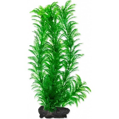 Tetra Cabomba caroliniana (Green Cabomba) 30 cm