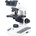 Motic B1-223E-SP