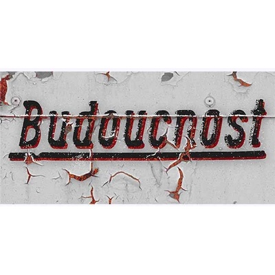 Budoucnost - ceduľa 30cm x 15cm Plechová tabuľa