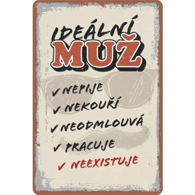 Postershop Plechová ceduľa: Ideální mužr - 20x30 cm
