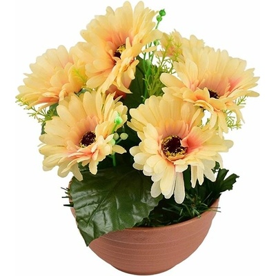 DOMMIO Gerbery svetlo oranžové 7 kvetov v terakotovej miske, priemer 22/24 cm
