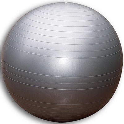 Sedco Extra Fitball 65cm
