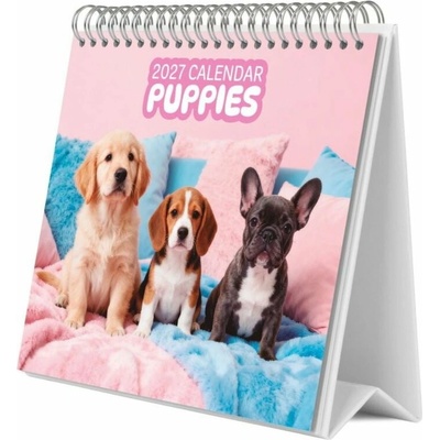 Grupo Erik Puppies stolový 2027
