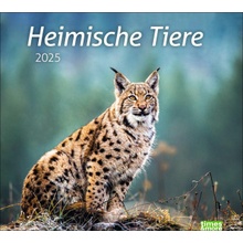 Heimische Tiere Bild 2025