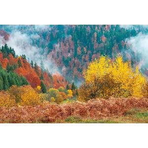 DIMEX ART Флизелинов фототапет красив горски пейзаж 375 x 250 см