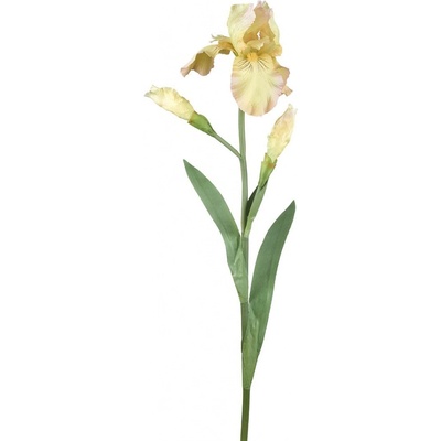 Dekorácia umelý žltý kosatec Iris Pale - 81 cm - Ostatní