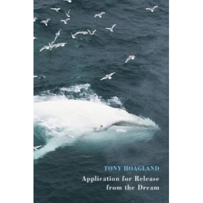 Application for Release from the Dream | Tony Hoagland