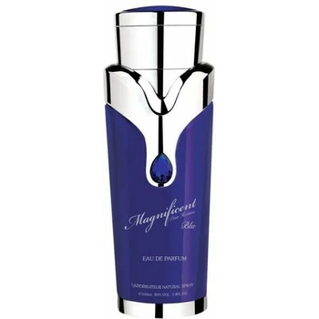 Image 1 of Armaf Magnificent Blue pour Homme EDP 100 ml