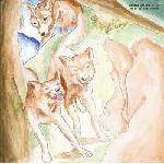 Bonnie Prince Billy - Wolf Of The Cosmos (LP) (0887828042012)