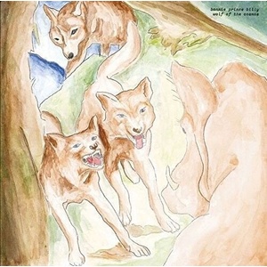 Bonnie Prince Billy - Wolf Of The Cosmos (LP) (0887828042012)