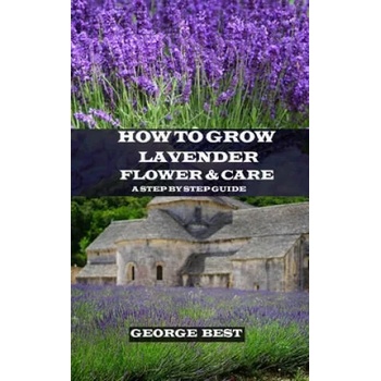 How to Grow Lavender Flower and Care: A Step by Step Guide