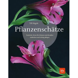 Pflanzenschätze | Till Hägele (ISBN: 9783967470277)