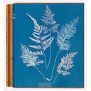 Anna Atkins. Cyanotypes