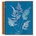 Anna Atkins. Cyanotypes