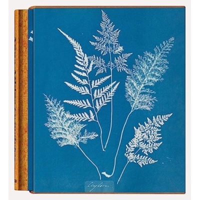 Anna Atkins. Cyanotypes