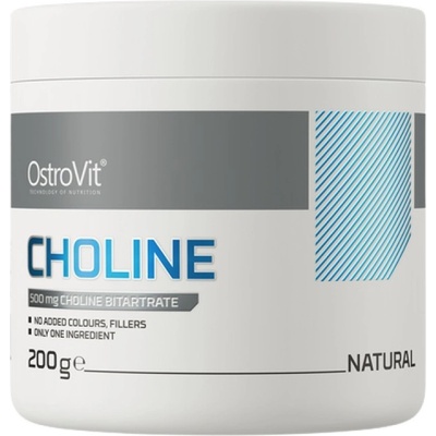 OstroVit Choline Bitartrate Powder [200 грама] Неовкусен