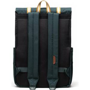 Herschel раница Survey (11404.07786)