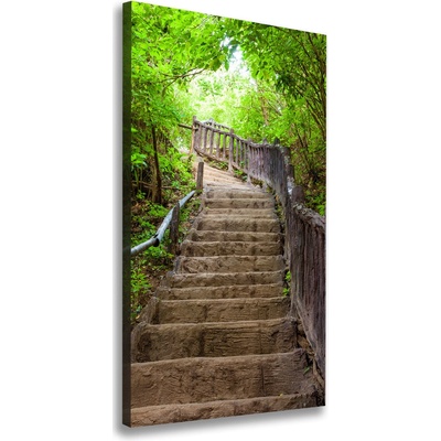Vertikálny foto obraz na plátne Schody v lese 50x100 cm