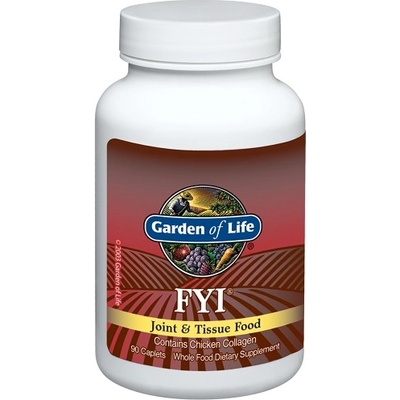 Garden of Life FYI Joint & Tissue Food, 90 Capsules