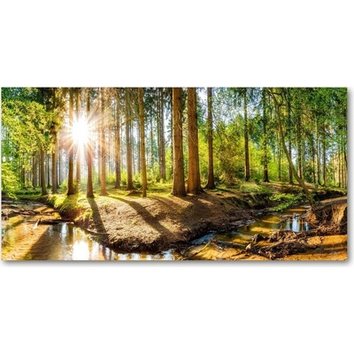 Foto obraz sklo tvrzené Panorama les 100x50 cm