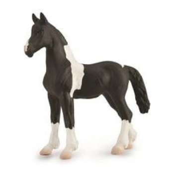 CollectA Źrebię Barcock Pinto