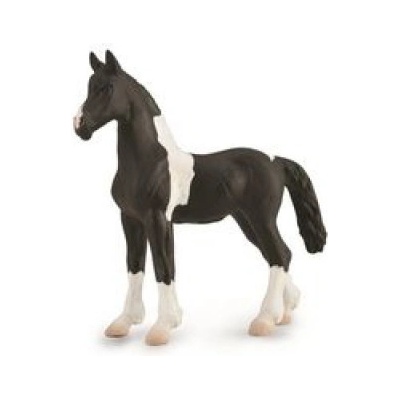 CollectA Źrebię Barcock Pinto