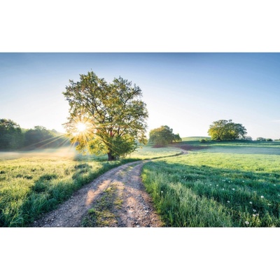 Komar Vliesová fototapeta A New Day in Paradise rozměry 400 x 250 cm