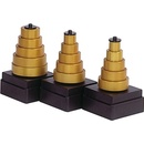 IGM F079-70700