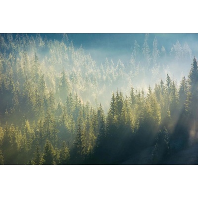 Dimex MS-5-1868 Vliesová fototapeta Mlha nad lesem rozměry 375 x 250 cm