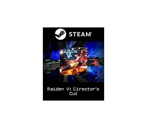 Raiden V: Director's Cut