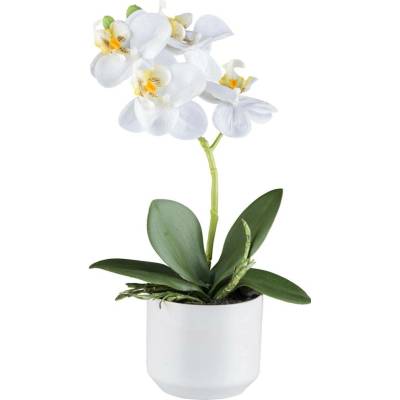 Gasper Umělá orchidej v kvetináči, 27 cm, bílá
