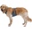 Ruffwear Нагръдник за куче Ruffwear Load Up Harness Dog harness - Slate Blue (057-0377-0113)
