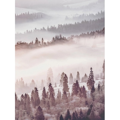 Postershop FototapetaMlžný les rozměry 184x254 cm