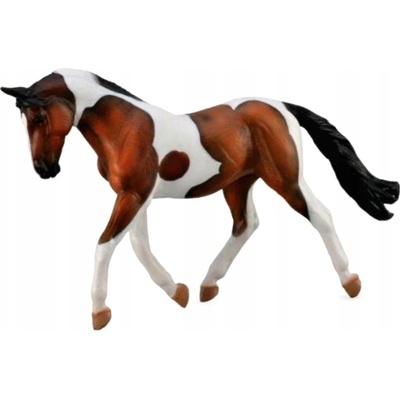 Collecta Bay hříbě