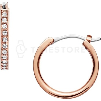 Fossil náušnice JOF00338791