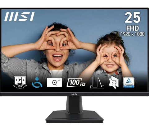 MSI Pro MP252