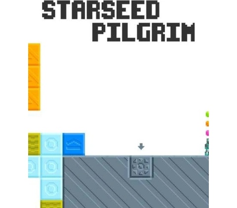 Starseed Pilgrim