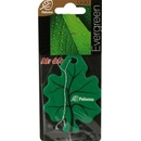 Paloma Gold - Evergreen