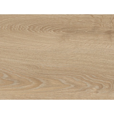 IVC Belgium Logitex Ultimate 55 Elias T44 4 m 1 m²