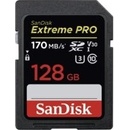 Paměťové karty SanDisk SDXC UHS-I U3 128 GB SDSDXXY-128G-GN4IN