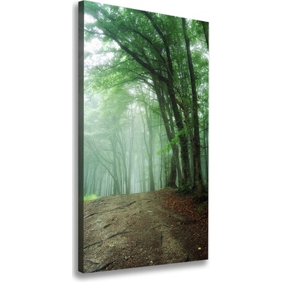 Vertikálny foto obraz canvas Hmla v lese 50x100 cm