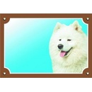 Ostatní pomůcky pro psy Dafiko Tabulka Samojed