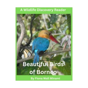 Beautiful Birds of Borneo | Fiona Wall Minami (ISBN: 9798195357979)