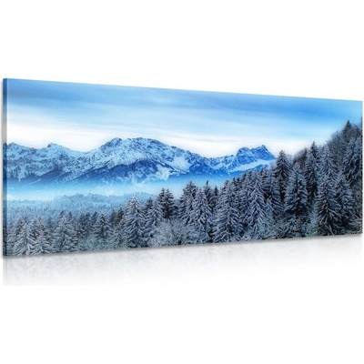 Obraz zamrzlé hory - 120x60