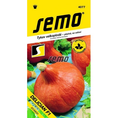 Semo Tekvica typ Hokkaido - Delician F1 5s