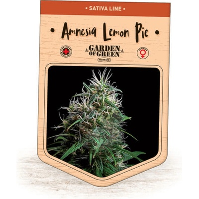 Garden Of Green Seedbank Amnesia Lemon Pie semienka neobsahujú THC 15 ks