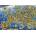 Educa - Puzzle Crazy Europe map - 500 piese