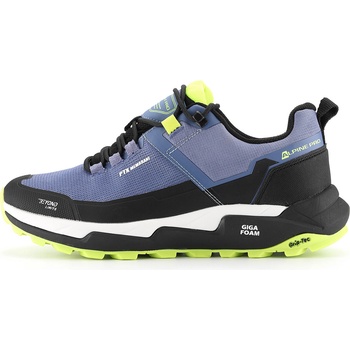 ALPINE PRO QEDE 2 45